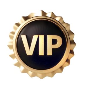 VIP Customer Payment Channel